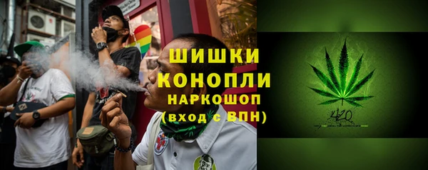 PSILOCYBIN Алексеевка