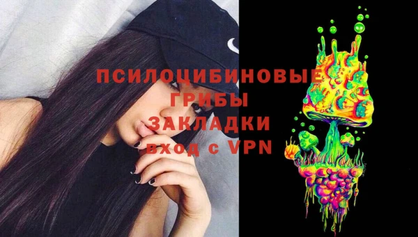 спиды Алзамай