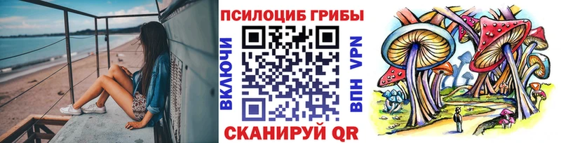 Купить закладки  Лаишево  Галлюциногенные грибы мицелий 